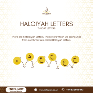 Idgham and Iqlab 3 HALQIYAH LETTERS