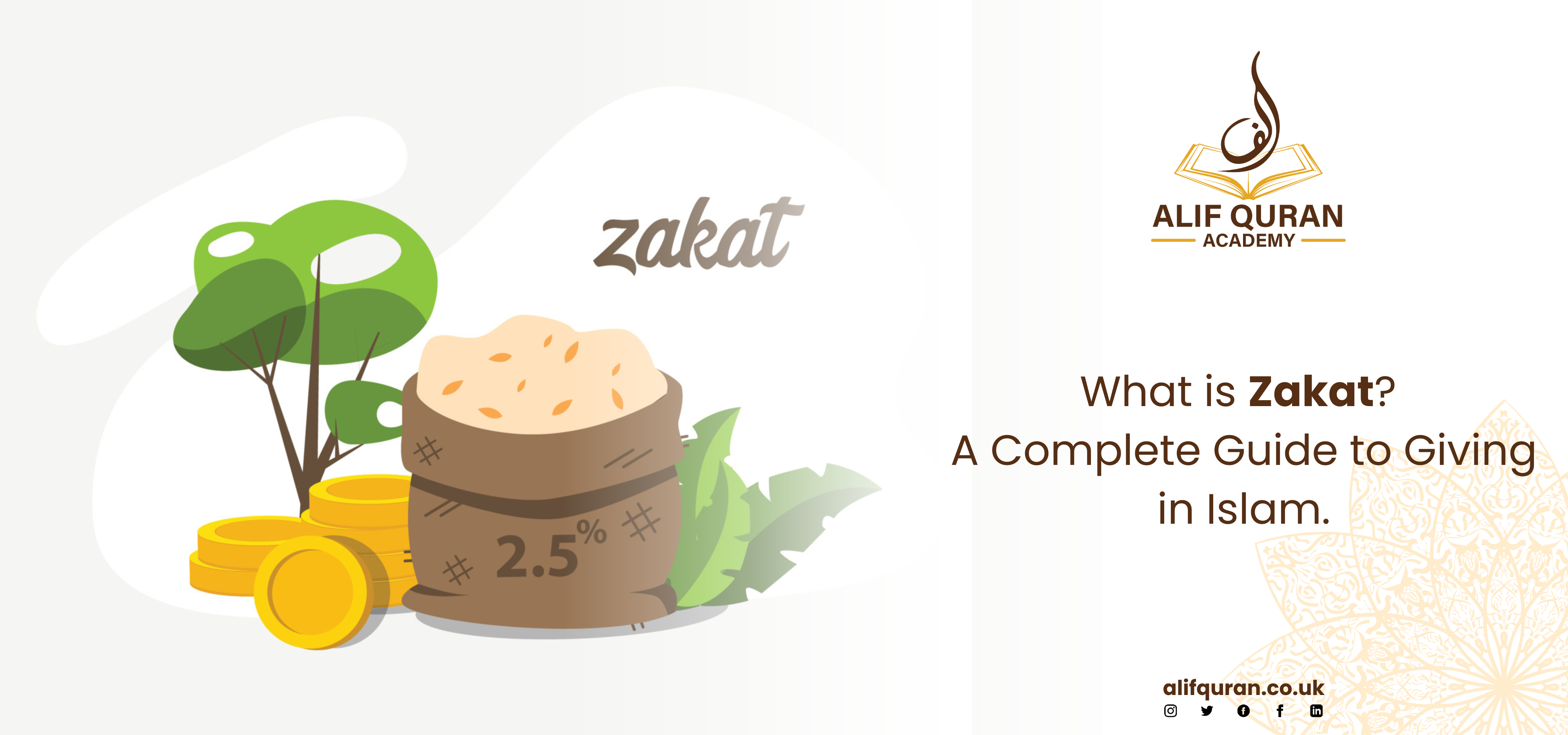 What is Zakat A Complete Guide to Giving in Islam